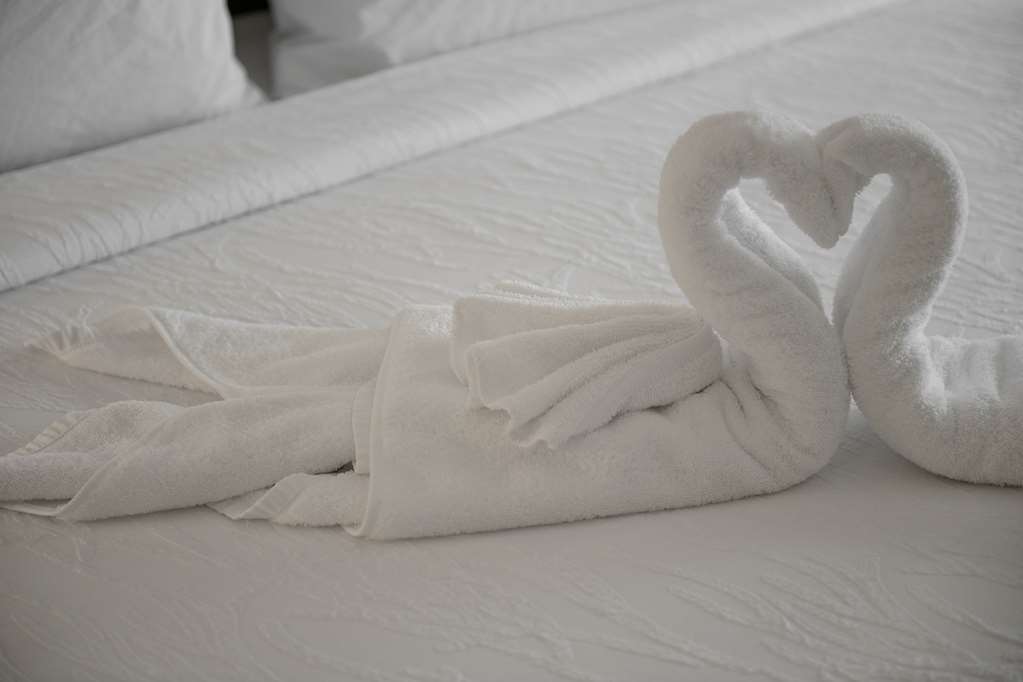 Hilton Garden Inn Louisville Mall Of St. Matthews Chambre photo